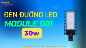Đèn đường LED 30W D01