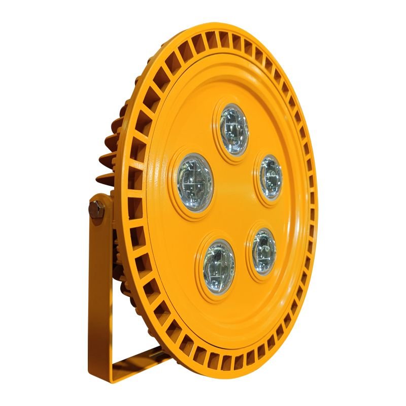 Đèn Chống Nổ Nhà Xưởng 250w (TDLCN-250) Thành Đạt Led