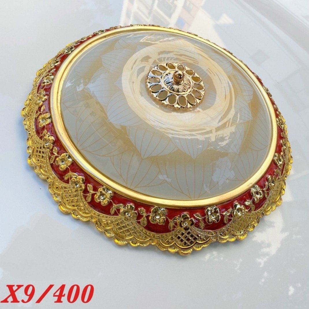 Đèn Trang Trí Ốp Tròn X9 Thành Đạt