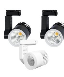 Đèn Rọi Ray Rọi Cao Cấp 12W (TDL-DR12) Thành Đạt Led