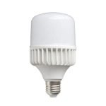 Đèn bulb trụ nhôm 10W (TDL-DBTN10) Thành Đạt Led