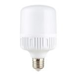 Đèn bulb trụ nhựa 60W (TDL-DBN60) Thành Đạt Led