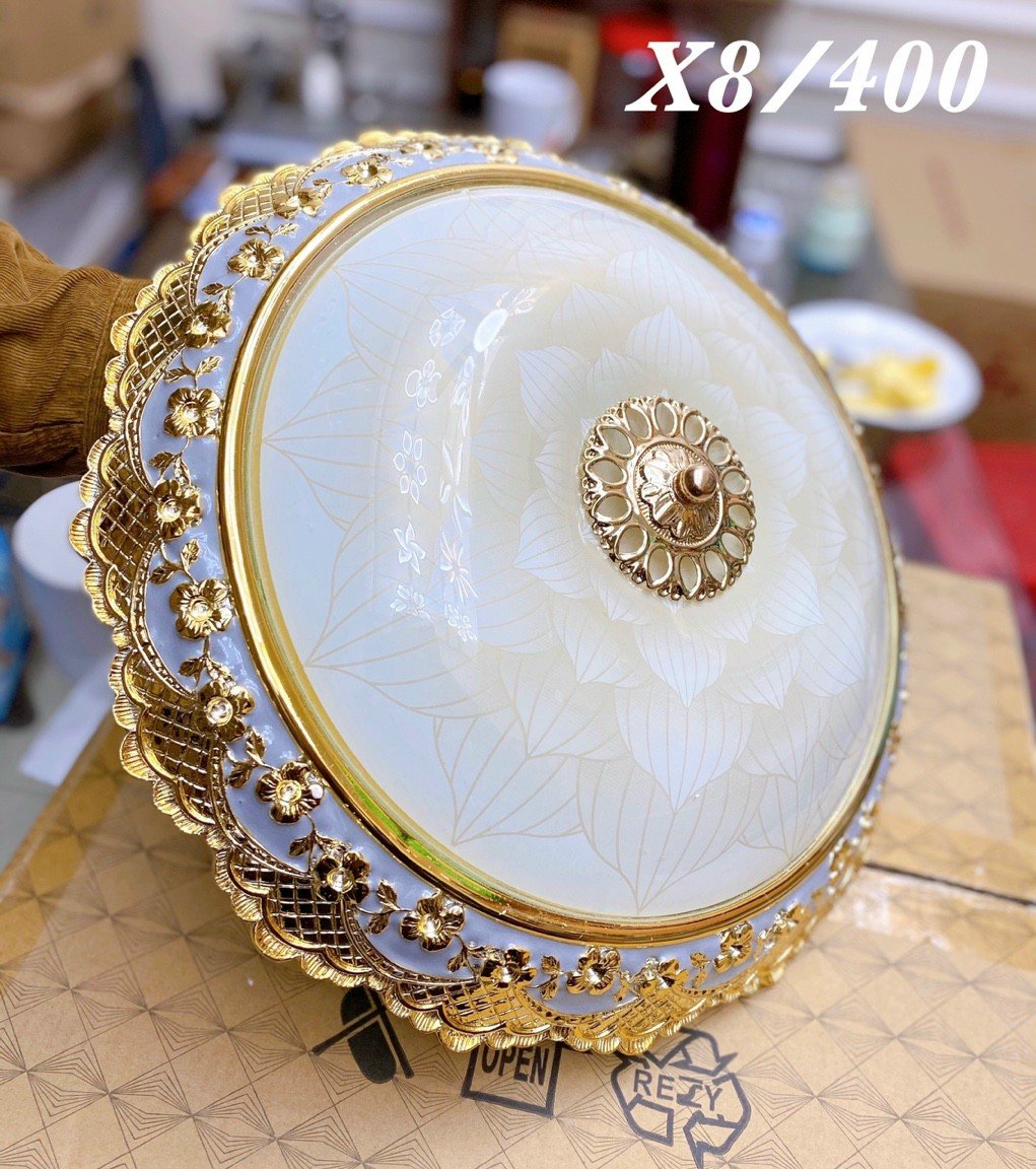 Đèn Trang Trí Ốp Tròn X8 Thành Đạt